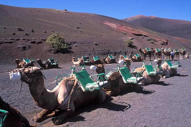 Timanfaya, Golfo, Jameos Agua & Camel Ride (optional) - Lanzarote - Inclusions