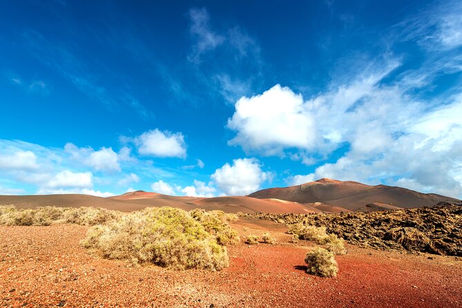 Timanfaya & Lanzarote Volcano Experience - Exclusions From the Tour