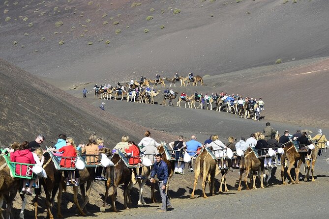 Timanfaya Park & Camel Ride (Extra Cost) - Short South Tour - Route of the Volcanoes