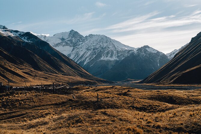 Timaru to Lake Tekapo Scenic Day Tour - Reviews and Feedback