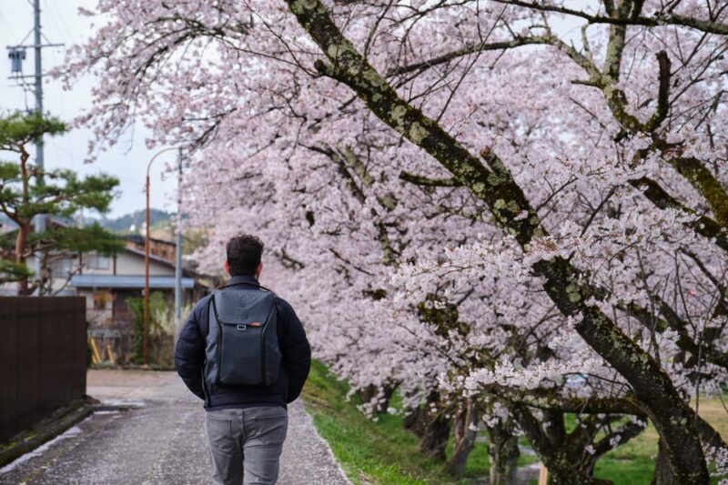 Timeless Takayama: A Walk Through History and Beauty - Babamachi Guided Tour