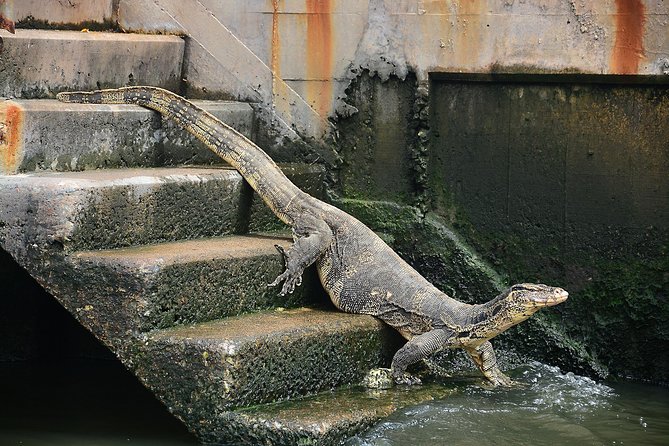 Timeless Thonburi Canal and Food Tour ( Private ) - Traveler Reviews and Feedback