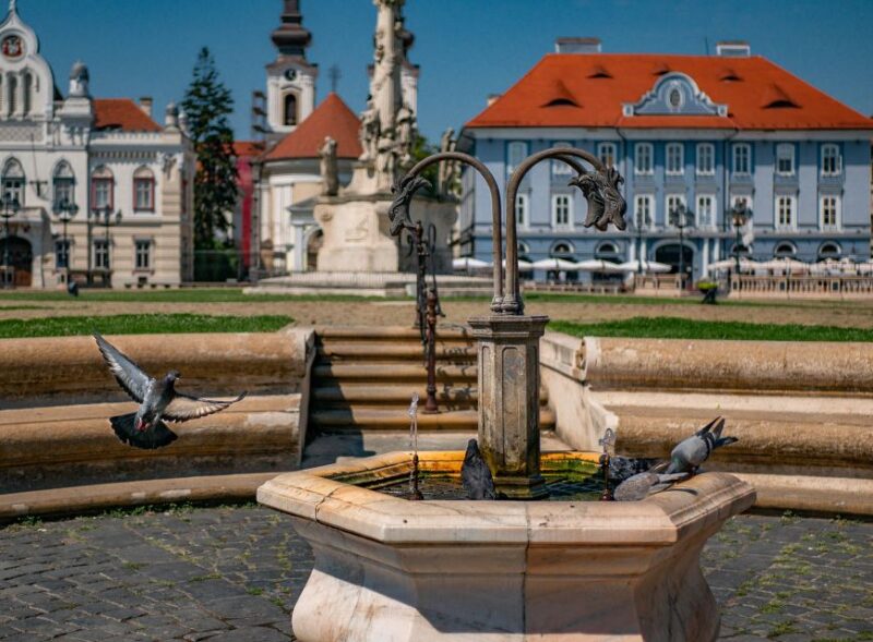 Timișoara: Best Introductory City Tour With a Local - Key Points