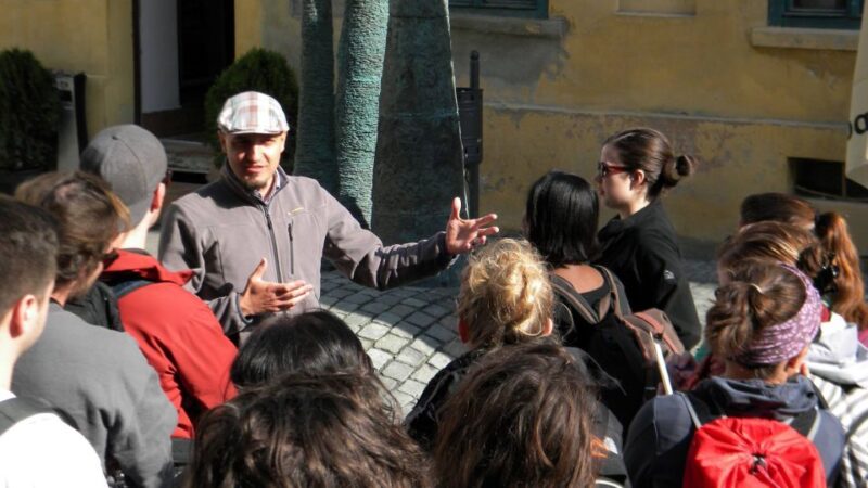 Timisoara: Classic Walking Tour - Booking Information