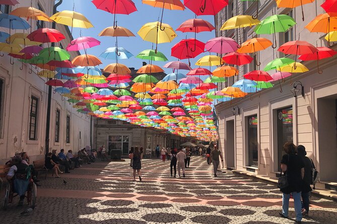 Timisoara: Shared Guided Tour in English - Highlights of the Tour