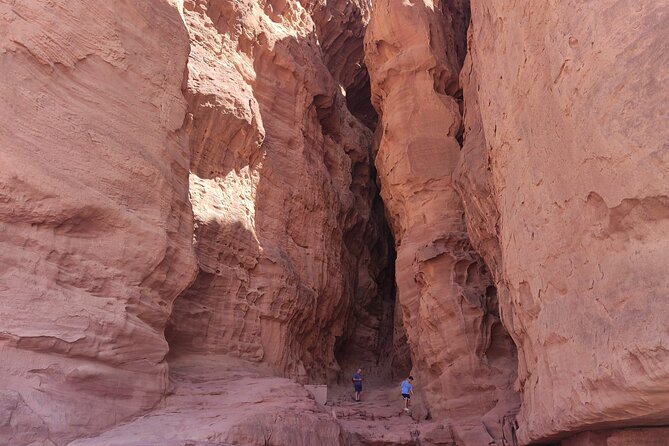 Timna Park Jeep Tour Adventure - Bedouin Tea and Cultural Immersion