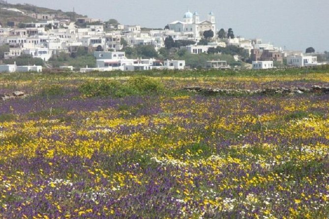 Tinos Island Tour From Mykonos - Pickup and Meeting Details