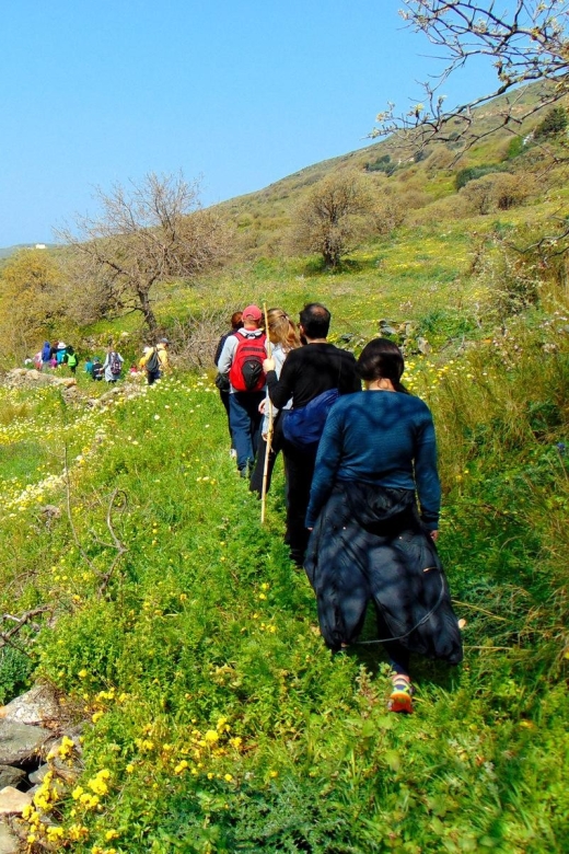 Tinos: Tarampados to Komi Guided Hiking Tour - Key Points