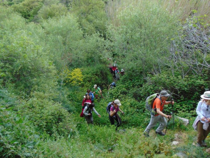 Tinos: Tarampados to Komi Guided Hiking Tour - Itinerary Details