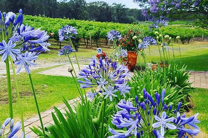 Tintilla Estate: Wine Tasting With a Meat and Cheese Platter - Pairing Perfection
