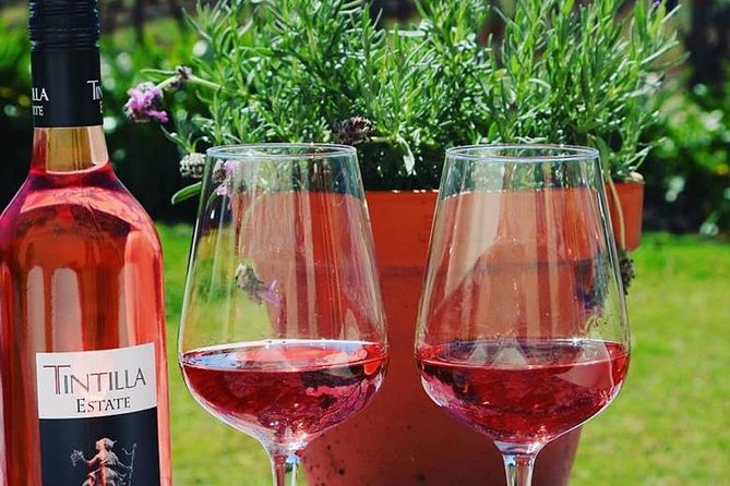 Tintilla Estate: Wine Tasting With a Meat and Cheese Platter - Elevating the Senses
