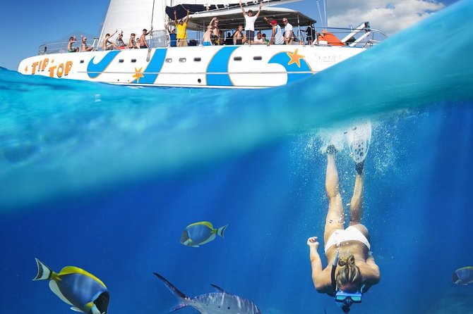Tip Top Catamaran - Overview and Experience