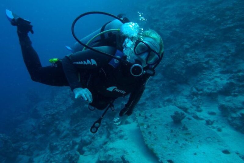 Tiran Island: Full-day Snorkeling, Diving Boat Trip - Experience Highlights