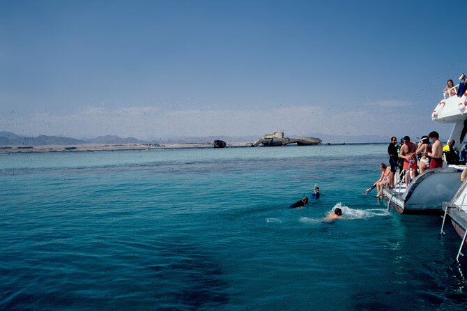 Tiran Island Full Day Snorkeling Sea Trip & Intro Dive 15 Min - Sharm El Sheikh - Feedback From Travelers