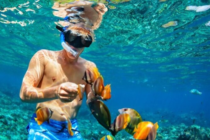 Tiran Island Snorkeling Excursion - Additional Information