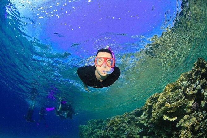 Tiran Island Snorkeling Experience by Yacht Sharm El Sheikh - Tiran Island Ecosystem