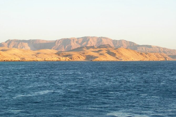 Tiran Island Snorkeling Trip by Boat From Sharm El Sheikh - Customer Reviews and Feedback