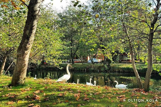 Tirana Hidden Treasures Sightseeing Tour - Languages and Group Size