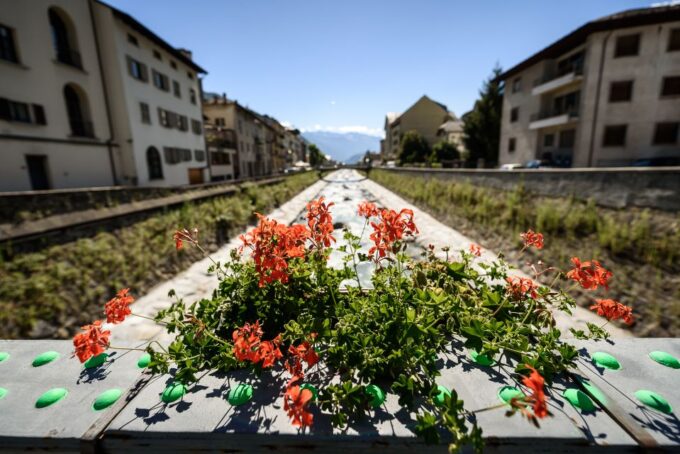 Tirano: Bernina Red Train and Cablecar to Diavolezza Refuge - What to Bring and Prepare