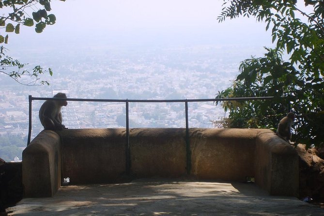 Tiru Arunachala Tours - Tiruvannamalai Tour Guide - Physical Requirements