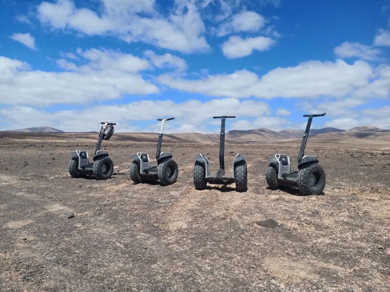 Tiscamanita: Segway Tour, Aloe Vera Farm & Mills Museum - Highlights