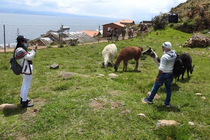 Titicaca Lake & Sun Island – 2 Days Tour – English Speaking Guide - Booking and Cancellation Policy