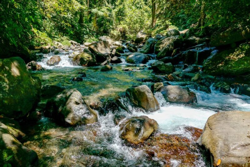 Tiu Kelep and Sendang Gile Waterfall Trekking Tour - Itinerary and Experience