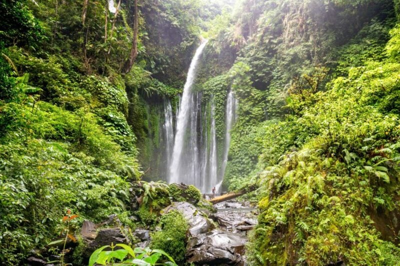 Tiu Kelep and Sendang Gile Waterfall Trekking Tour - Inclusions and Exclusions