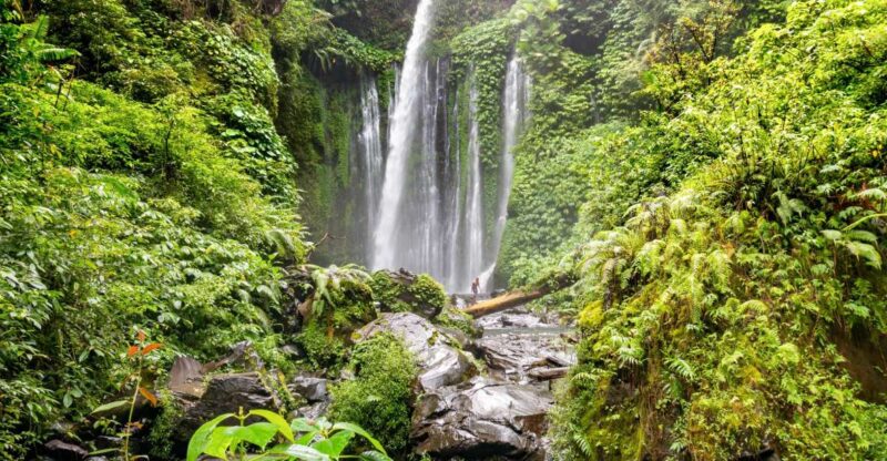 Tiu Kelep and Sendang Gile Waterfall Trekking Tour - Preparing for the Trek