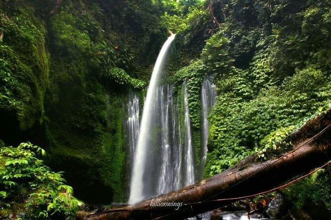 Tiu Kelep Waterfall Lombok - Good To Know