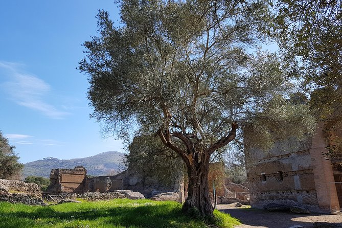 Tivoli Villas Full Day Trip From Rome With Lunch - Transportation and Audio