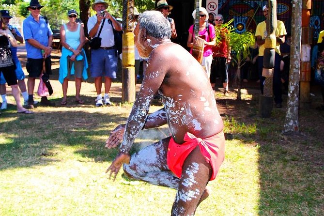 Tiwi By Design Day Tour - Cultural and Educational Aspects