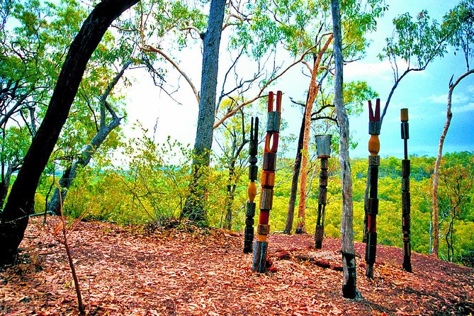 Tiwi Islands Cultural Experience From Darwin Including Ferry - Experiencing Tiwi Hospitality and Cuisine