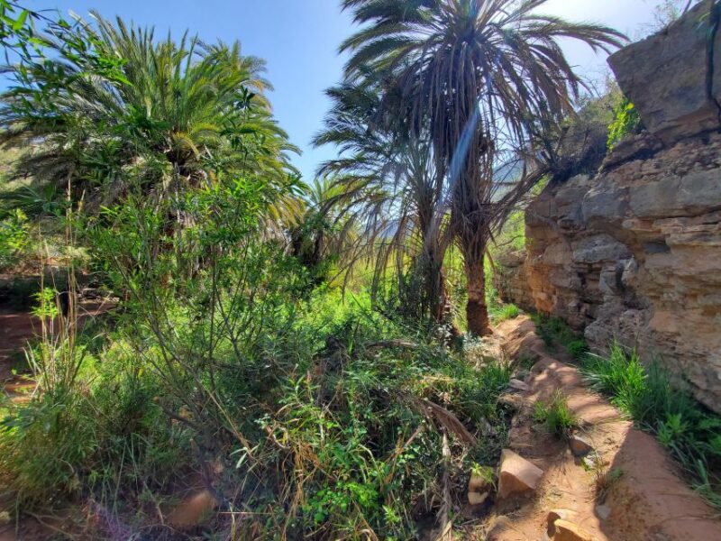 Tizgui Valley Half Day Guided Tour Including Hotel Pickup - Important Information