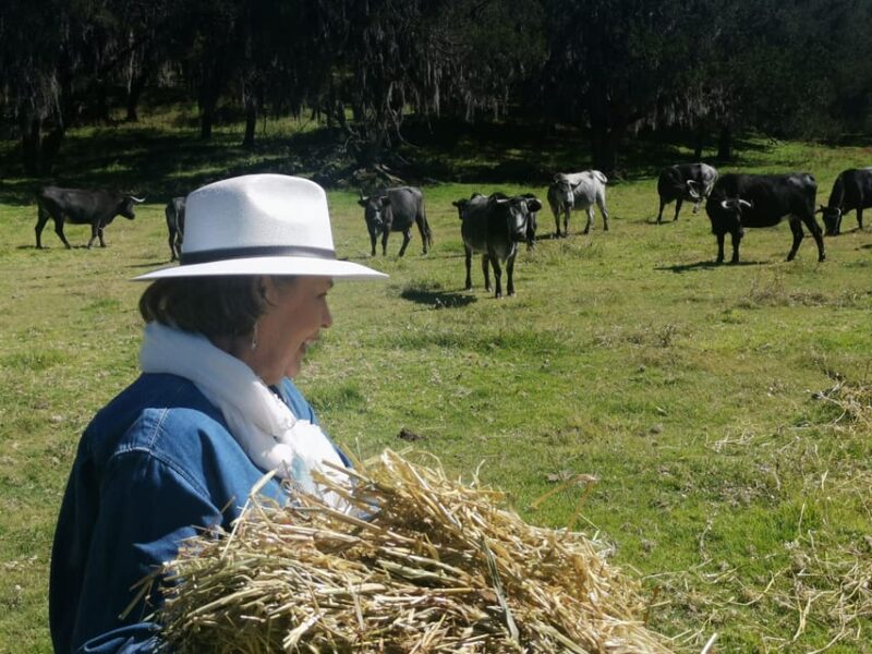 Tlaxcala Haciendas Tour - Key Points