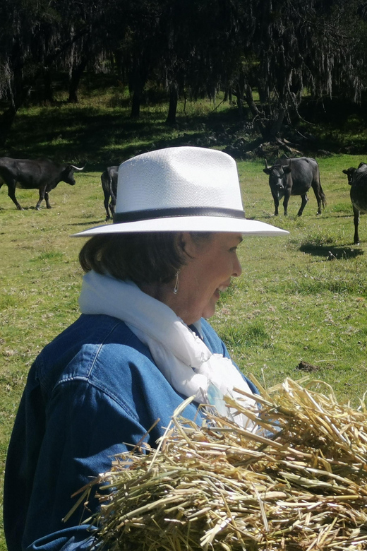 Tlaxcala Haciendas Tour - Hacienda Tours