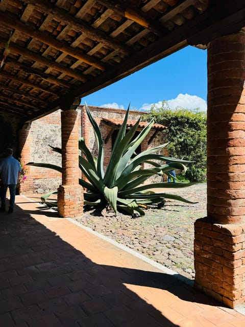 Tlaxcala Haciendas Tour - Pulque Museum Visit