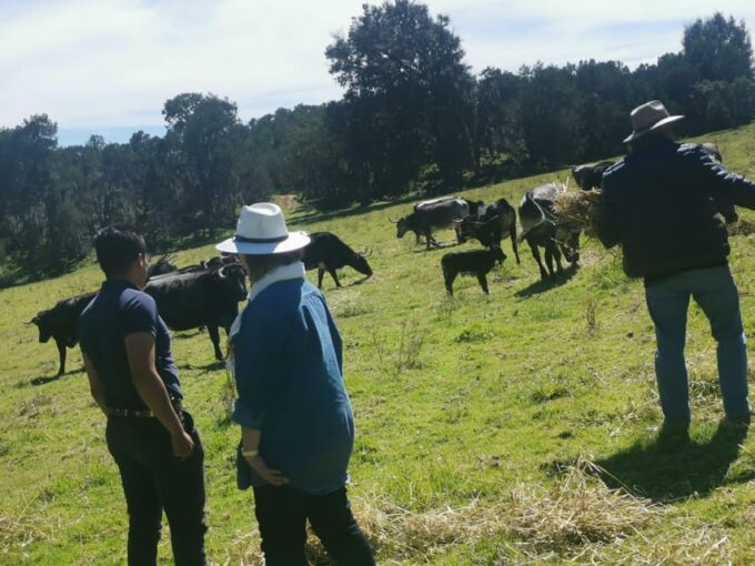 Tlaxcala Haciendas Tour - Transportation and Group