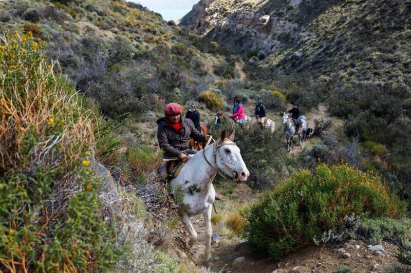 Tlaxco: A Horseback Journey Through Nature and Tradition - Savoring Traditional Ranch Cuisine