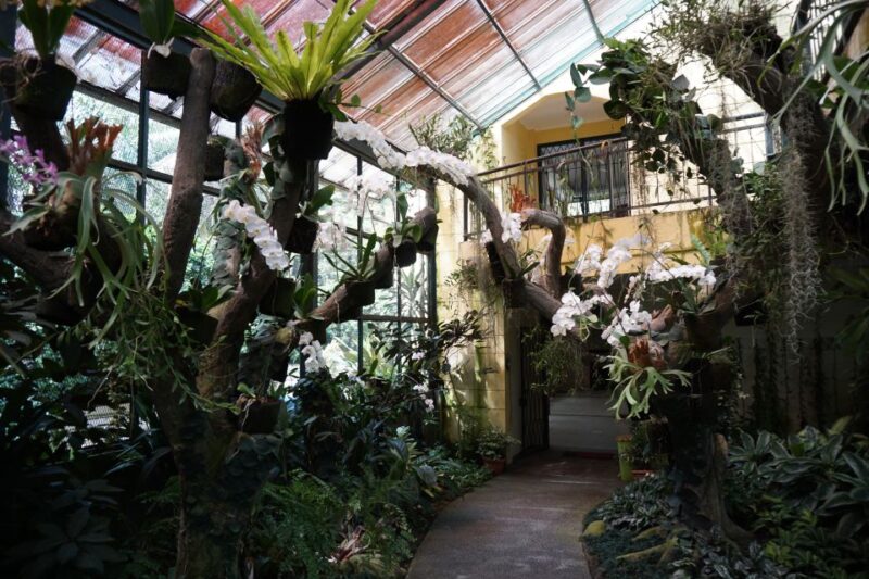 TMII and Untold Bogor - Bogor Botanical Gardens
