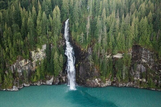 Toba Bears and Wilderness Grizzly Bear Viewing in Campbell River - Why This Tour Offers Great Value