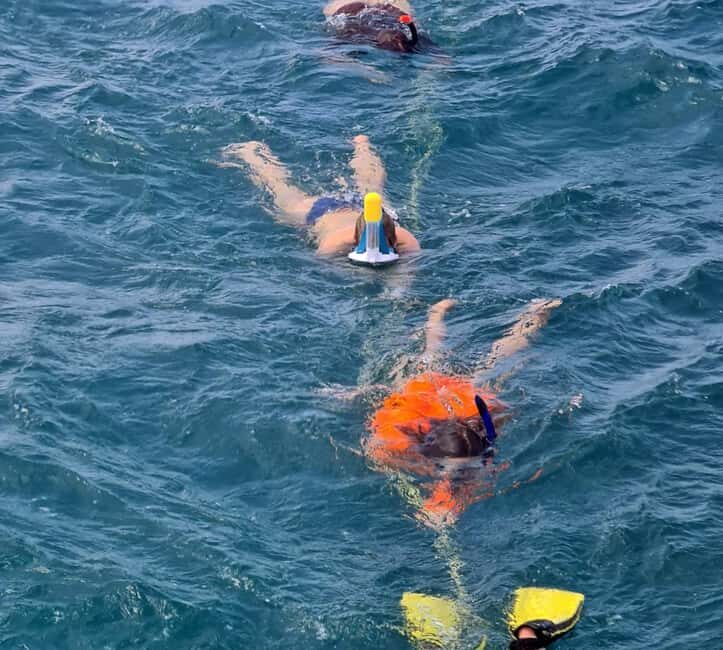 Tobago: Buccoo Reef and Nylon Pool Boat Tour with Transfer - An Overview of the Experience