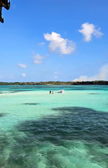 Tobago: Buccoo Reef and Nylon Pool Boat Tour with Transfer - Authentic Traveler Insights