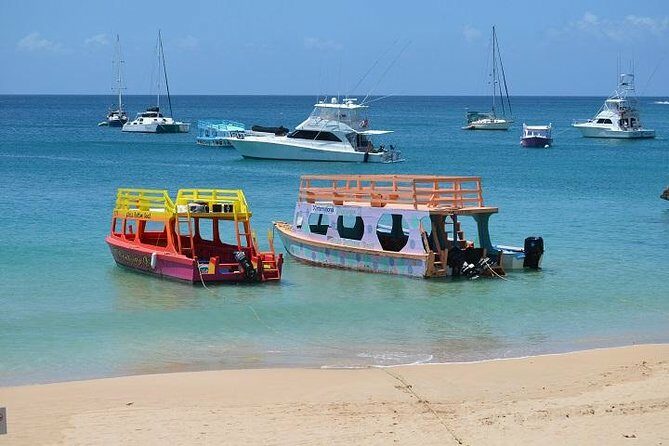 Tobago Buccoo Reef Glass Bottom Boat Cruise and Island Sightseeing Tour - Practical Details and Comfort