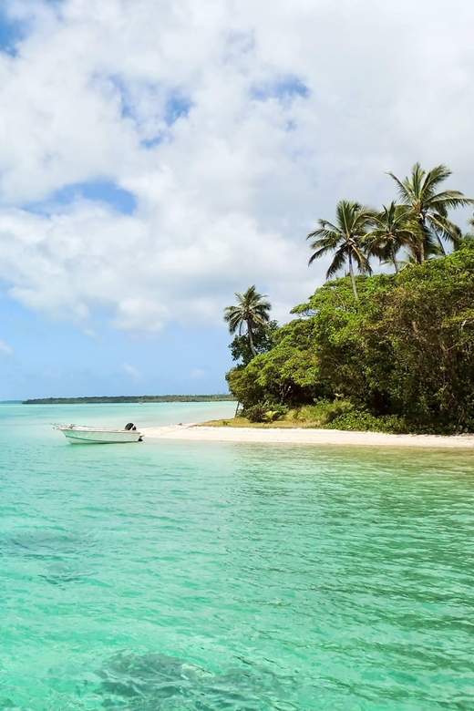 Tobago: Buccoo Reef Glass Bottom Boat Tour - What to Bring