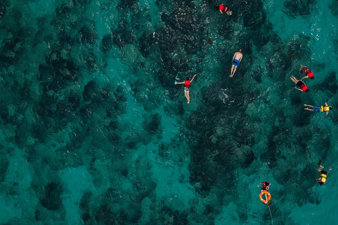 Tobago Buccoo Reef Glass Bottom Boat Tour - Tour Itinerary and Experience