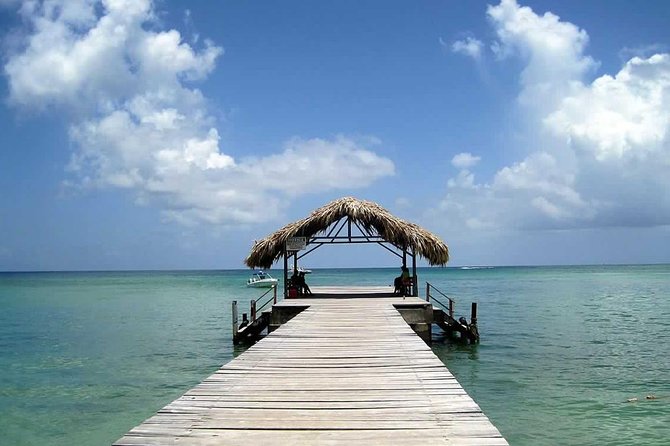 Tobago Buccoo Reef Glass Bottom Boat Tour - Guide Feedback and Ratings