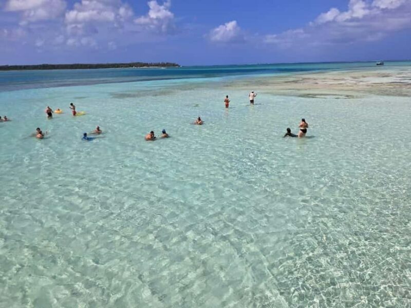 Tobago: Buccoo Reef Marine Park Glass Bottom Boat Tour - Key Points