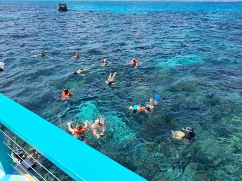 Tobago: Buccoo Reef Marine Park Glass Bottom Boat Tour - An In-Depth Look at the Buccoo Reef Marine Park Glass Bottom Boat Tour