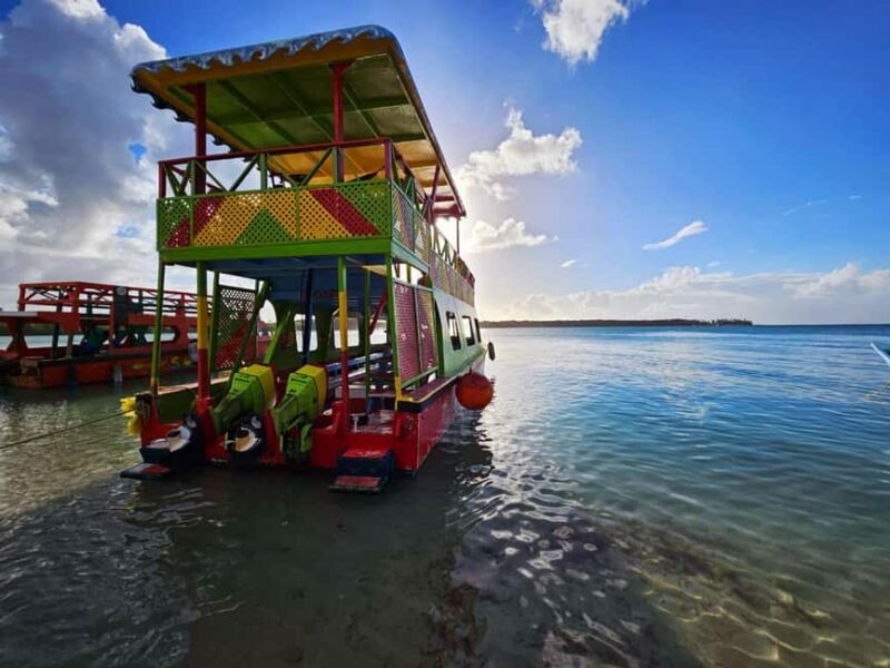 Tobago: Coral Reef Boat Tour with BBQ and Transfer - What to Expect: A Deep Dive into the Tour